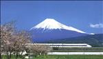 mount fuji